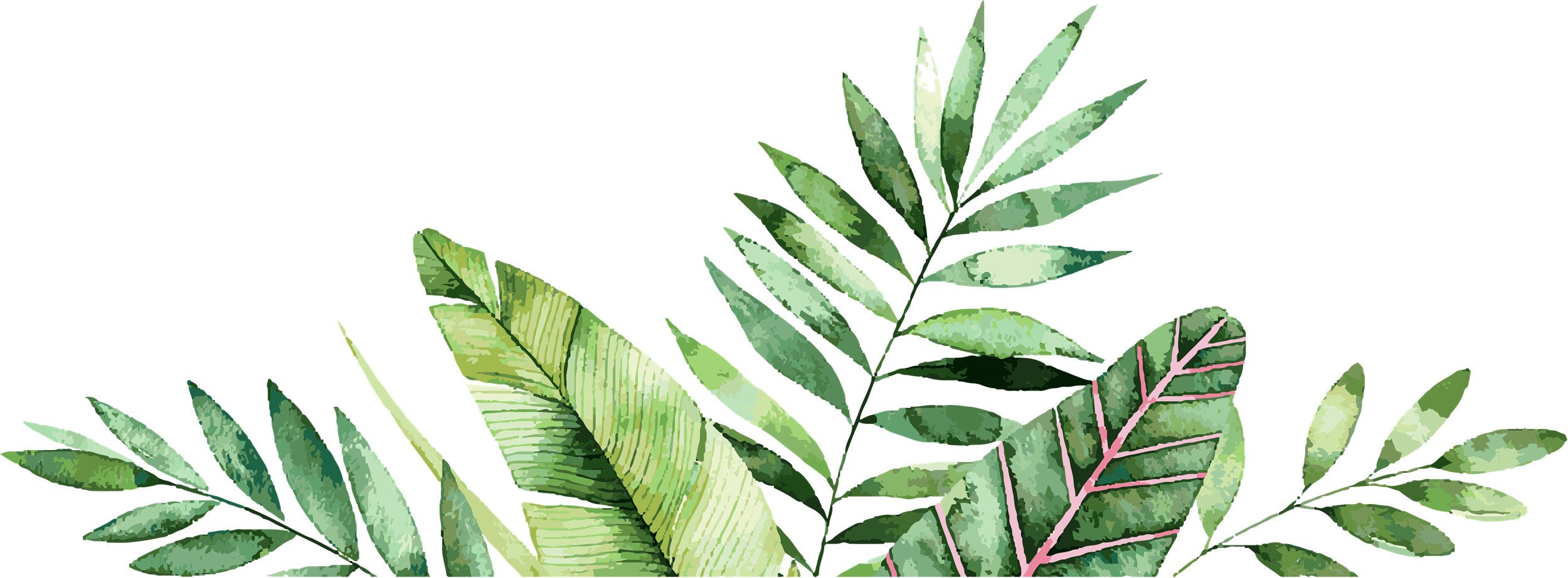 palm leaves graphic
